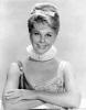 Picture of Doris Day