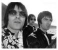 Picture of Oasis