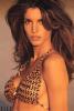Picture of Stephanie Seymour