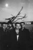 Picture of U2