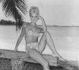 Shelley Fabares Picture
