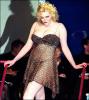 Sophie Dahl in a Sexy Dress