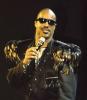 Stevie Wonder Singing Stevie Wonder Singing