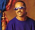 Stevie Wonder in Blue Stevie Wonder in Blue