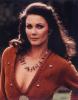 Stylish Lynda Carter