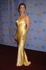 Susan Lucci in a Nice Dress
