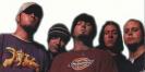 The Gang Limp Bizkit