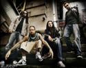 The Party Guys Korn