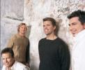 The gurus Lonestar