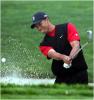 Tiger Woods Image
