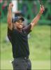 Tiger Woods Photo