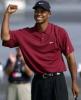 Tiger Woods Pic