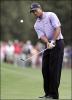 Tiger Woods Playing