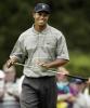 Tiger Woods Walking