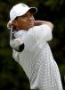 Tiger Woods in Style