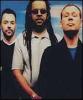 UB40 in a New Look