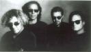 Van Halen in Black