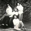 Van Halen in Style