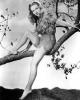 Veronica Lake on the Tree