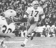Walt Garrison pic