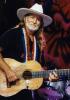 Willie Nelson in Style