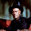 Yul Brynner Image