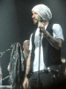 a  j  mclean image4