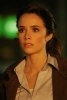 abigail spencer image