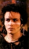 adam ant picture2