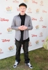 adam hicks img