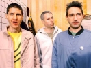 adam horovitz image2