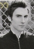 adam levine image