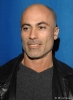 adoni maropis image