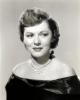 adrian booth image
