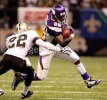 adrian peterson pic