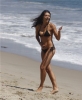 adrianne curry image
