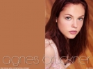 agnes bruckner picture