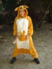 akira lane picture3