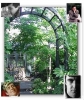alan bates photo2