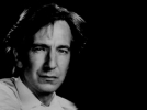 alan rickman image