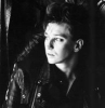 alan wilder picture