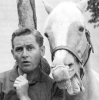 alan young image4