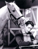 alan young picture4