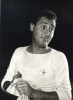 alberto sordi picture