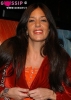 alessia fabiani picture3