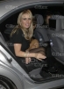 alex gerrard picture alex gerrard picture