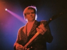 alex lifeson image