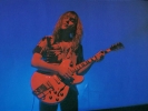 alex lifeson image2