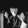alexander kaidanovsky image