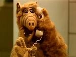 alf